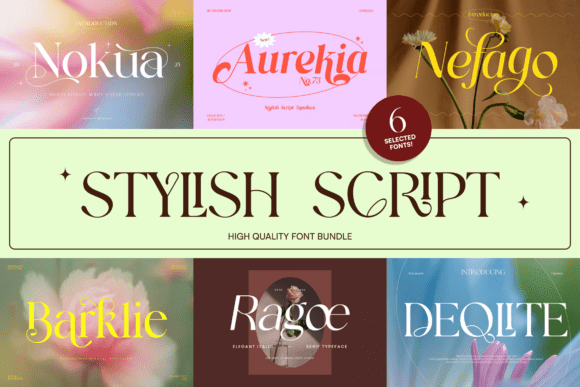 Download Stylish Script Bundle - Stylish Collection